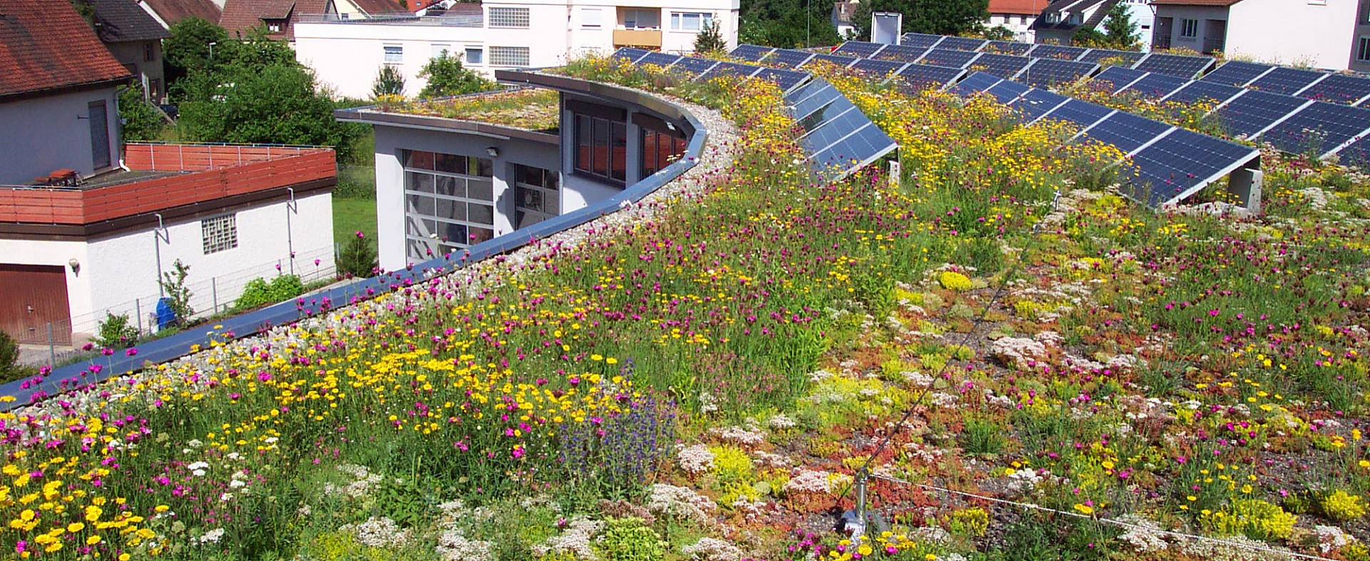 012--Naturdach_1.jpg