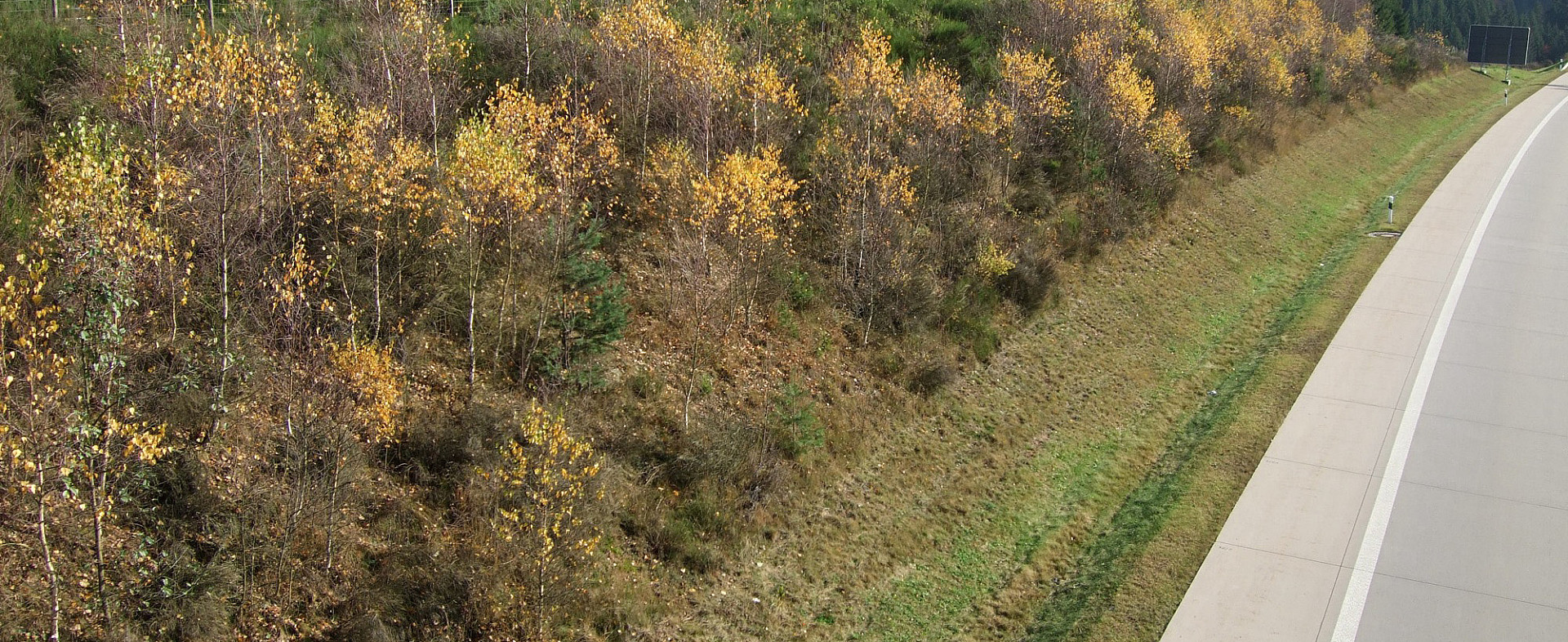 006--P6030054.jpg
