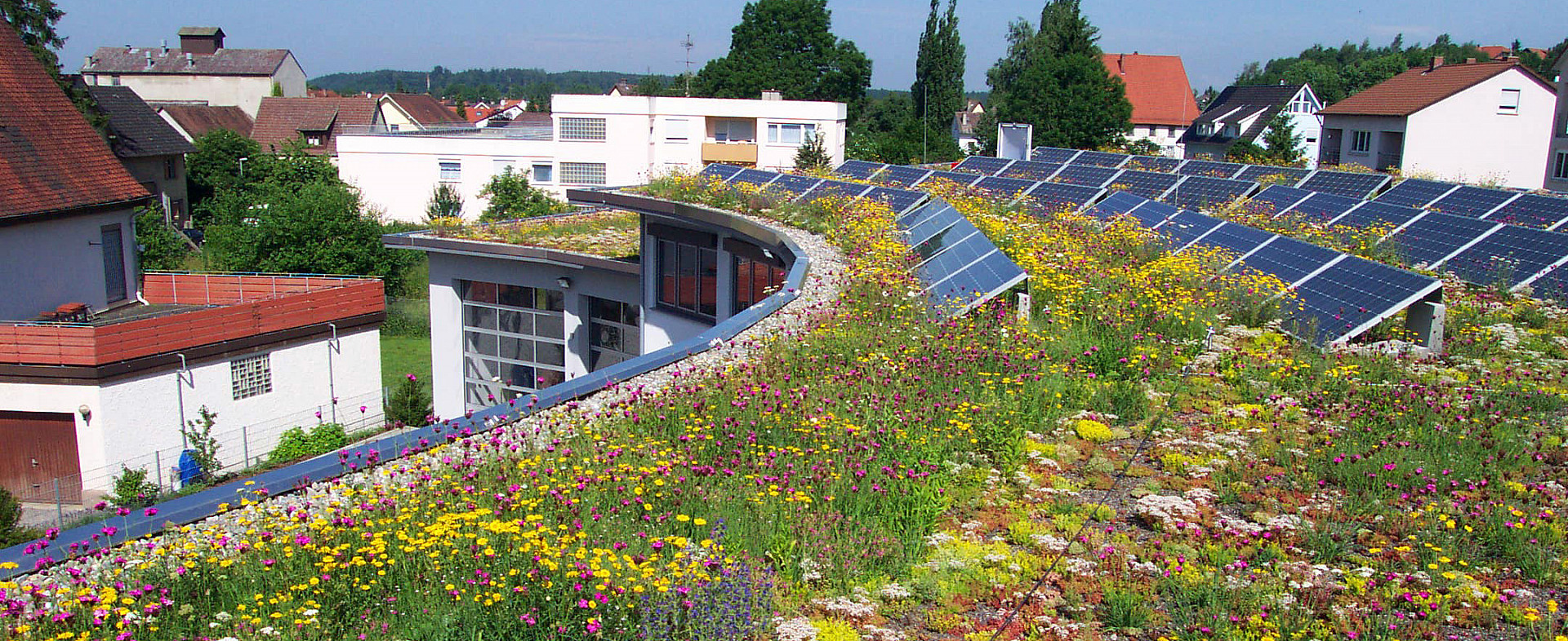 001--Naturdach-1.jpg