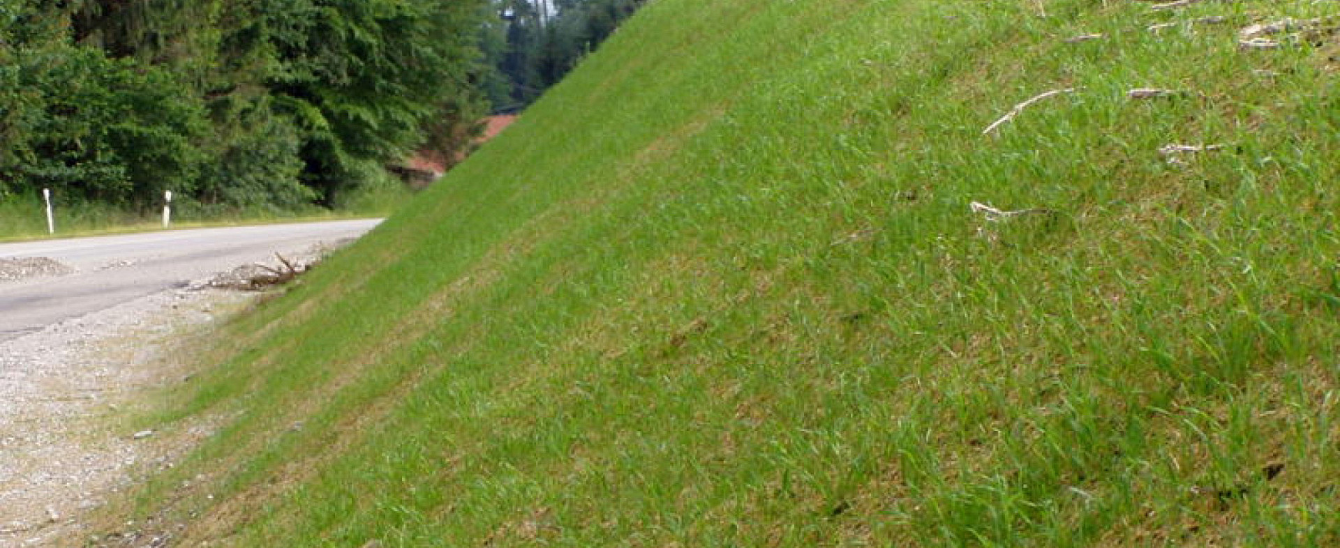 001--Mulchsaat-1.jpg