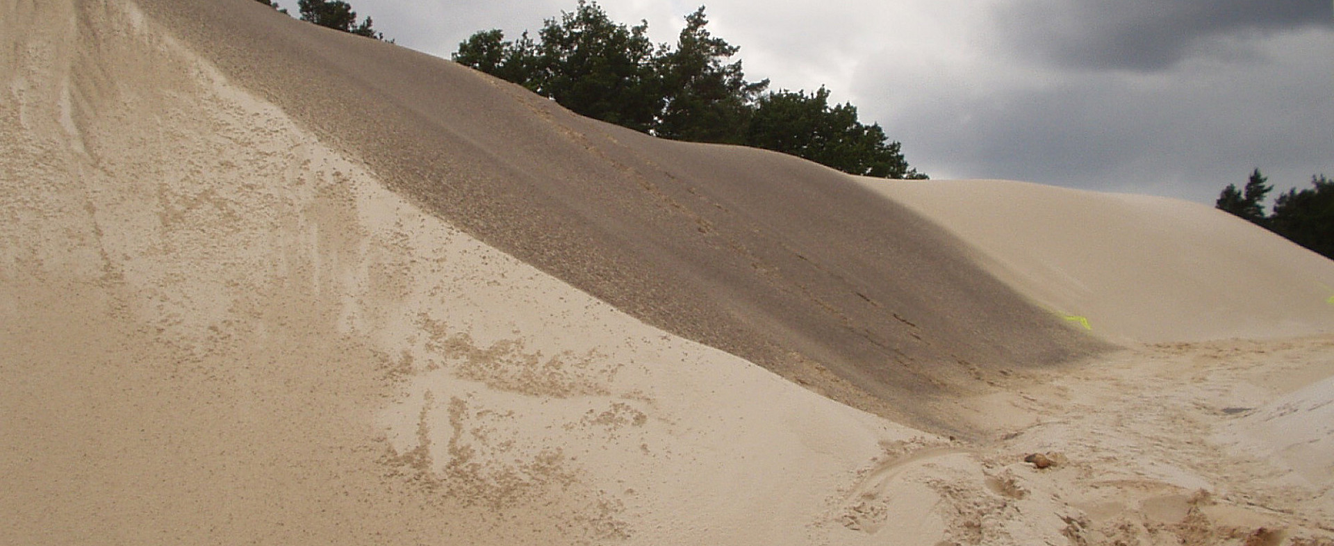 010--P7080164.jpg