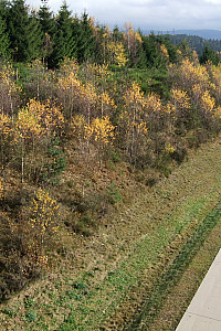 P6030054
