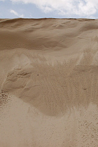 P7080170