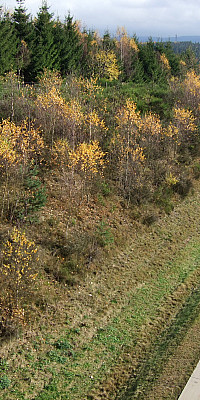 P6030054