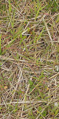 P7090184