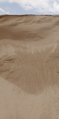 P7080170