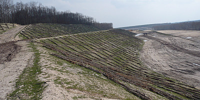 P1000050